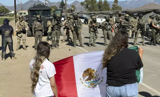 Demonstrators hold a flag in front of federal agents blocking a road during an immigration raid in Camarillo, Calif. (AP Photo/Michael Owen Baker)