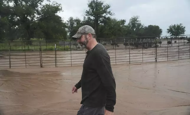 Boyd Clark walks back to his vehicle after checking on his ostrich flock following recent flooding Wednesday, July 9, 2025, at his farm in Bend, Texas. (AP Photo/Joshua A. Bickel)
