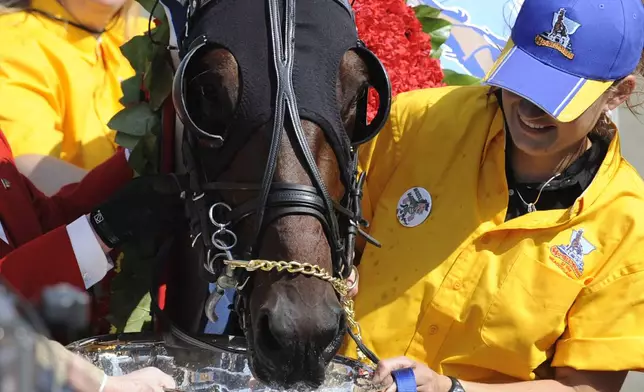 FILE - Muscle Massive drinks from the Hambletonian trophy cup after winning the Hambletonian harness horse race Saturday, Aug. 7, 2010 at Meadowlands Racetrack in East Rutherford, N.J. (AP Photo/Bill Kostroun, File)