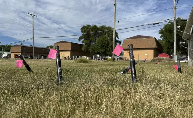 Snare traps set for Richardson's ground squirrels poke up from the ground along an apartment building on Monday, July 14, 2025, in Minot, N.D. (AP Photo/Jack Dura)