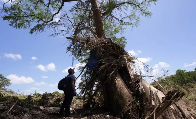A volunteer searches the banks of the river days after flash floods along the Guadalupe River in Kerrville, Texas, Thursday, July 10, 2025. (AP Photo/Gerald Herbert)