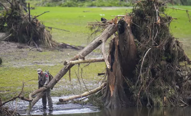 A Texas Department of Public Safety official inspects tree debris at Camp Mystic along the Guadalupe River after a flash flood swept through the area Sunday, July 6, 2025, in Hunt, Texas. (AP Photo/Julio Cortez)