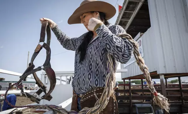 Courtney Beverly, from Winfield, Alberta, prepares to bridle her horse in the chutes before competing in women's ranch bronc during rodeo action in Crossfield, Alberta, Saturday, June 14, 2025. (Jeff McIntosh/The Canadian Press via AP)