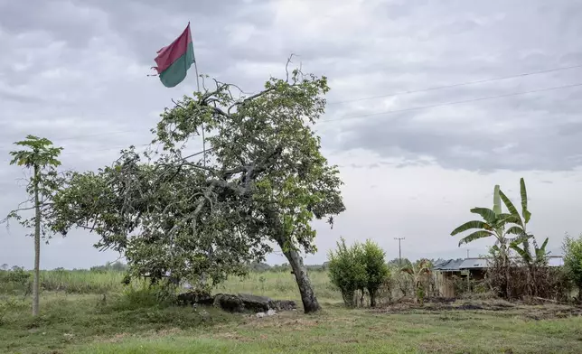 A flag, bearing the red and green of the Nasa people, flies near the home of a former sugarcane landlord on reclaimed land on July, 19, 2025, in the Lopez Adentro reserve in Caloto, Colombia. (AP Photo/Nadège Mazars)