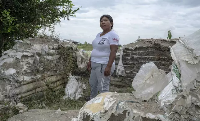 Carmelina Camayo poses near an old military defense barrier made of sandbags, remnants of the military occupation, on July, 19, 2025, in the Lopez Adentro reserve in Caloto, Colombia. (AP Photo/Nadège Mazars)