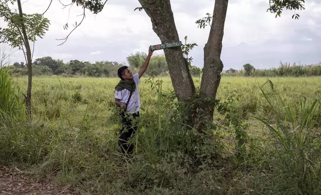 Jhony Baicue Camago, from the Lopez Adentro Indigenous reserve who serves in the Indigenous Guard, hangs a sign that reads "I love my territory" on July, 19, 2025, in the Lopez Adentro reserve in Caloto, Colombia. (AP Photo/Nadège Mazars)