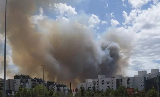 Smoke rises from trees burned by wildfire near Montenegro capital Podgorica, Sunday, July 27, 2025. (AP Photo/Risto Bozovic)