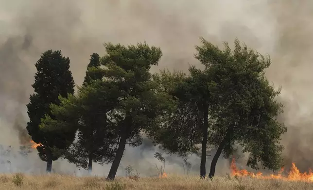 Smoke rises from trees burned by wildfire near Montenegro capital Podgorica, Sunday, July 27, 2025. (AP Photo/Risto Bozovic)