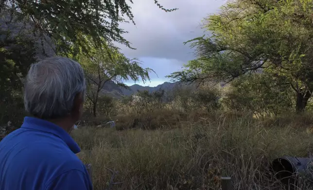 Calvin Endo looks out at private property behind his home where tall grass grows brown during wildfire season on Saturday, July 5, 2025, in Waianae, Hawaii. (AP Photo/Jennifer Sinco Kelleher)