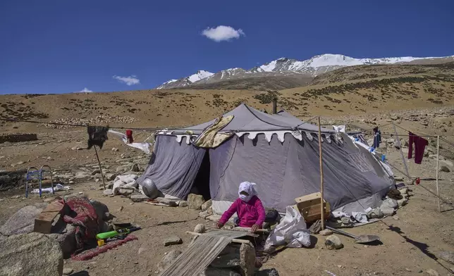 Namgayal Dolma weaves a blanket from sheep wool outside her temporary tent in Tso Moriri village, Ladakh, India, Monday, July 7, 2025. (AP Photo/ Dar Yasin )