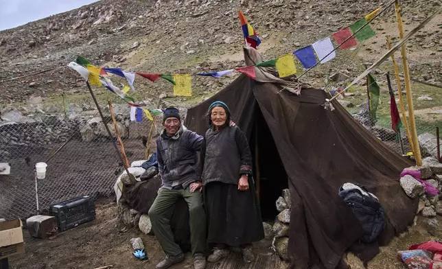 Kunzias Dolma, right, and her husband Tsering Angchok pose for a picture outside their rebo, a traditional nomadic tent made of yak wool, used by the Changpa tribe to withstand the region's harsh climate in Tsoltak village, Ladakh, India, Tuesday, July 8, 2025. (AP Photo/Dar Yasin)