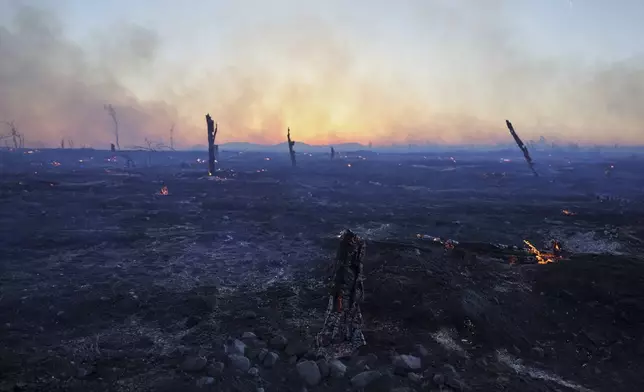 Blazes burn trees during a wildfire, in the northwestern suburb of Kryoneri, in Athens, Greece, Saturday, July 26, 2025. (AP Photo/Yorgos Karahalis)