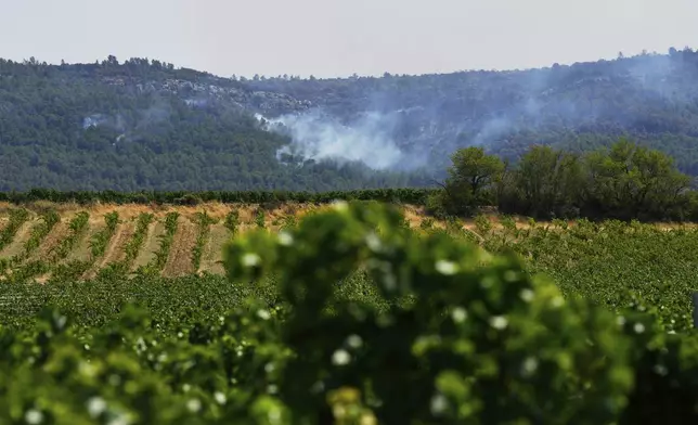 Smoke billows from a hill behind vineyards during France's largest wildfire in decades near Camplong-d' Aude, southern France, Thursday, Aug.7, 2025. (AP Photo/Manu Fernandez)