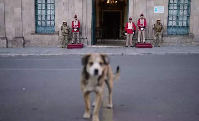 Honor guards stand outside the presidential palace, days ahead of the presidential election in La Paz, Bolivia, Wednesday, Aug. 13, 2025. (AP Photo/Natacha Pisarenko)