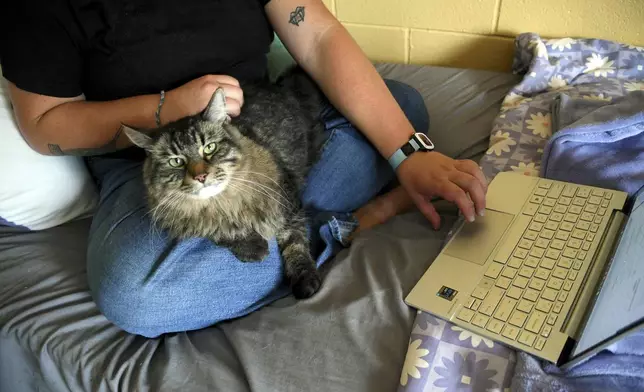 Student Molly Cheer sits with her pet comfort cat, Louie, as she looks at upcoming course work in her dorm room at the University of Northern Colorado in Greeley, Colo., on Monday, Aug. 25, 2025. (AP Photo/Thomas Peipert)