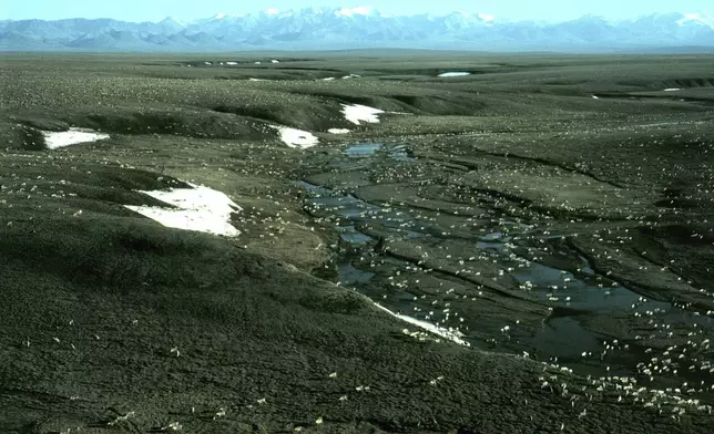 FILE - This photo provided by the U.S. Fish and Wildlife Service shows the Porcupine caribou herd in the 1002 area of the Arctic National Wildlife Refuge coastal plain, with the Brooks Range mountains in the distance to the south, in 2008. (U.S. Fish and Wildlife Service via AP, File)