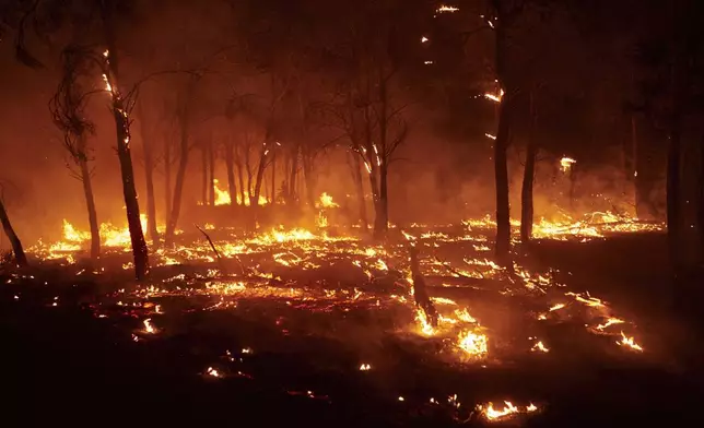 Burning trees are pictured during a wildfire in Carcastillo, northern Spain, Sunday, Aug. 10, 2025. (Eduardo Sanz/Europa Press via AP)