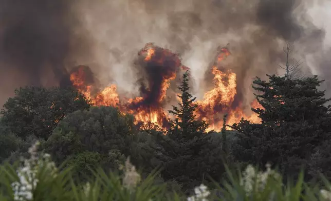 Blazes burn trees during a wildfire in the village of Theriano near Patras city, western Greece, Tuesday, Aug. 12, 2025. (AP Photo/Giannis Androutsopoulos)