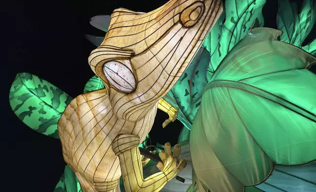 A display of a yellow lizard is shown as part of the Philadelphia Chinese Lantern Festival, Tuesday, Aug. 5, 2025 in Philadelphia. (AP Photo/Tassanee Vejpongsa)