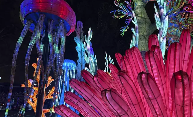 An underwater scene is shown as part of the Philadelphia Chinese Lantern Festival, Tuesday, Aug. 5, 2025 in Philadelphia. (AP Photo/Tassanee Vejpongsa)