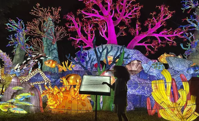A child looks at a display at the Philadelphia Chinese Lantern Festival, Tuesday, Aug. 5, 2025 in Philadelphia. (AP Photo/Tassanee Vejpongsa)