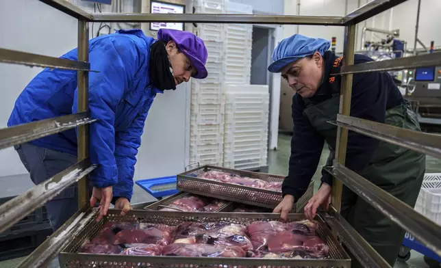 Octopuses are packaged at Frigorificos Arcos SL on Wednesday, June 25, 2025, in O Carballino, Spain. (AP Photo/Annika Hammerschlag)