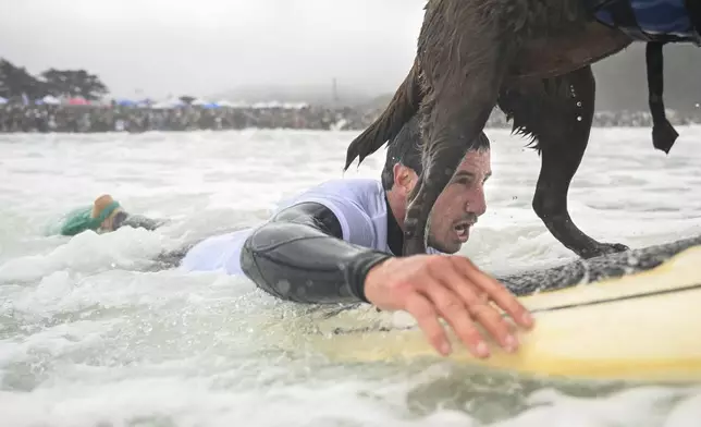 Iva Moreira of Brazil swims with Cacau through the breakers during the World Dog Surfing Championships Saturday, Aug. 2, 2025, in Pacifica, Calif. (AP Photo/Eakin Howard)
