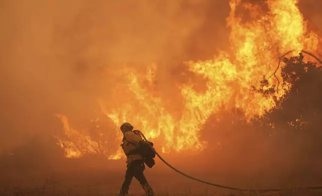 A firefighter battles the Canyon Fire on Thursday, Aug. 7, 2025, in Halsey Canyon, Calif. (AP Photo/Marcio Jose Sanchez)