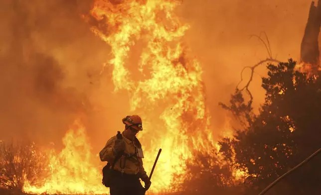 A firefighter battles the Canyon Fire on Thursday, Aug. 7, 2025, in Halsey Canyon, Calif. (AP Photo/Marcio Jose Sanchez)