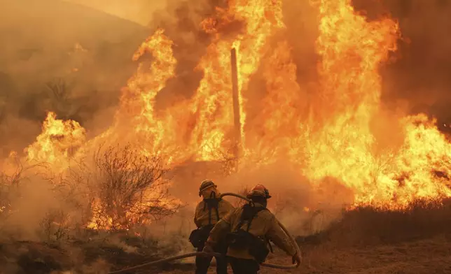 Firefighters battle the Canyon Fire on Thursday, Aug. 7, 2025, in Halsey Canyon, Calif. (AP Photo/Marcio Jose Sanchez)