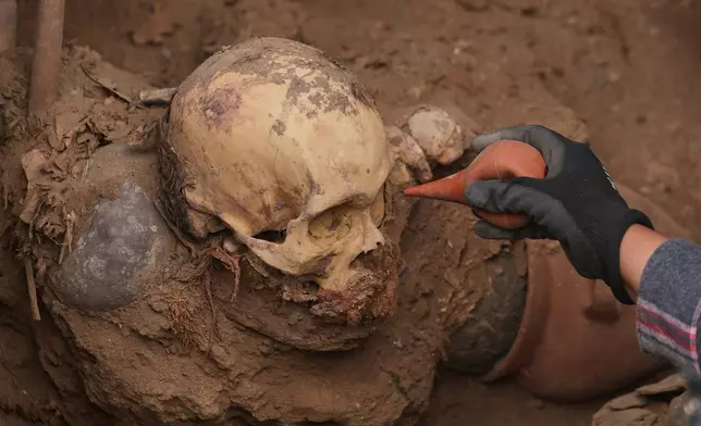 Archaeologist Jose Aliaga works at the site where city workers discovered ancient remains, from the pre-Inca Chancay culture, and artifacts as they were digging a natural gas line for the company Calidda in the district of Puente Piedra on the outskirts of Lima, Peru, Thursday, July 31, 2025. (AP Photo/Guadalupe Pardo)