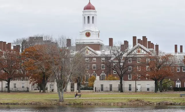 FILE - This Nov. 13, 2008 file photo shows the campus of Harvard University in Cambridge, Mass. (AP Photo/Lisa Poole, File)