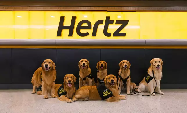 Hertz Brings Golden Retriever ‘Gold Squad’ to Airports Nationwide