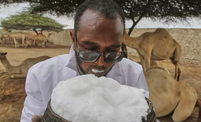 Abdirisak Mire Hashi, a veterinarian and the farm's manager, drinks from a cup filled with camel milk in Beder Camel Farm on the outskirts of the capital Mogadishu, Somalia, Wednesday, June 18, 2025. (AP Photo/Farah Abdi Warsameh)