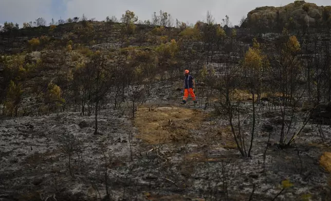 A forestry worker operates during France's largest wildfire in decades in Fontjoncouse, southern France, Friday, Aug. 8, 2025. (AP Photo/Manu Fernandez)
