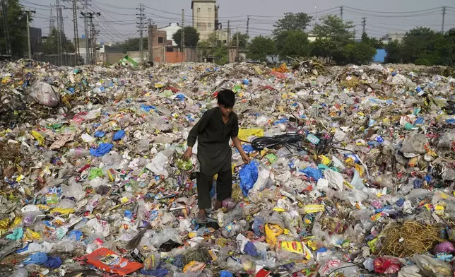 A scavenger collects recyclable items including plastic from a dump site in Lahore, Pakistan, Thursday, Aug. 7, 2025. (AP Photo/K.M. Chaudary)