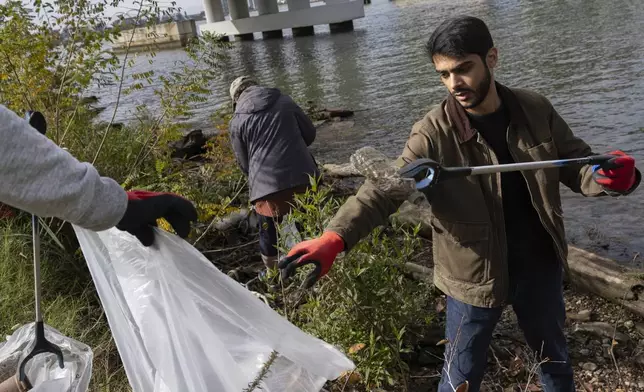 FILE - Volunteers collect trash and plastic waste during a park cleanup on Nov. 15, 2023, at Anacostia Park in Washington. (AP Photo/Tom Brenner, File)