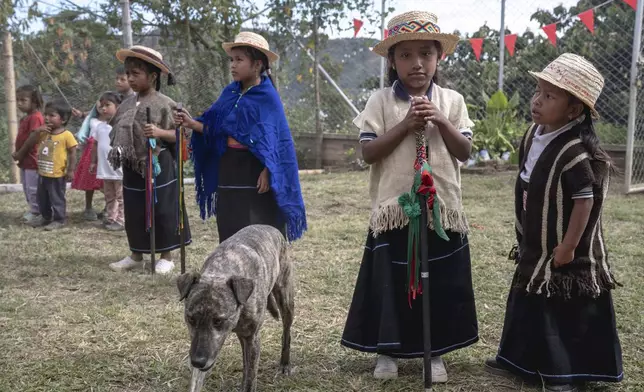 Young dancers, in traditional Indigenous clothes, wait for a graduation ceremony to begin at a school on July 18, 2025, in Manuelico village, Caldono, Colombia. (AP Photo/Nadège Mazars)
