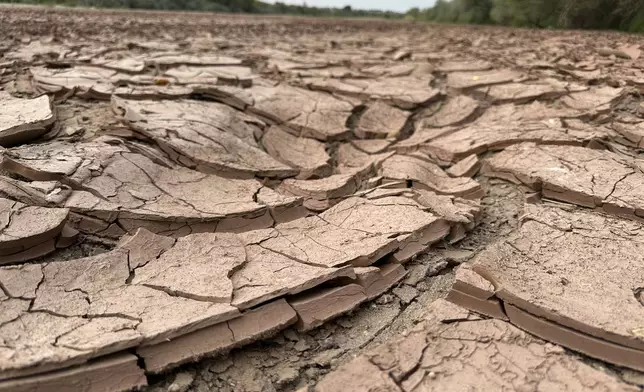 Cracked, dry mud makes up the riverbed of the Rio Grande in Albuquerque, N.M., on Thursday, Aug. 21, 2025. (AP Photo/Susan Montoya Bryan)
