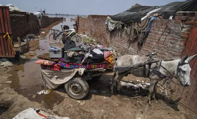 A resident loads his belongings into a donkey-cart after retrieving them from his flooded home due to rising water level in Ravi River after torrential rains at a low-lying area on the outskirts of Lahore, Pakistan, Aug. 28, 2025. (AP Photo/K.M. Chaudary)