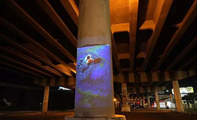 This photo of a New Orleans resident walking through floodwaters coated with a fine layer of oil in the aftermath of Hurricane Katrina, taken by AP photographer Bill Haber, is projected Thursday, Aug. 14, 2025, in New Orleans, underneath the same overpass where photo was made. (AP Photo/Gerald Herbert)