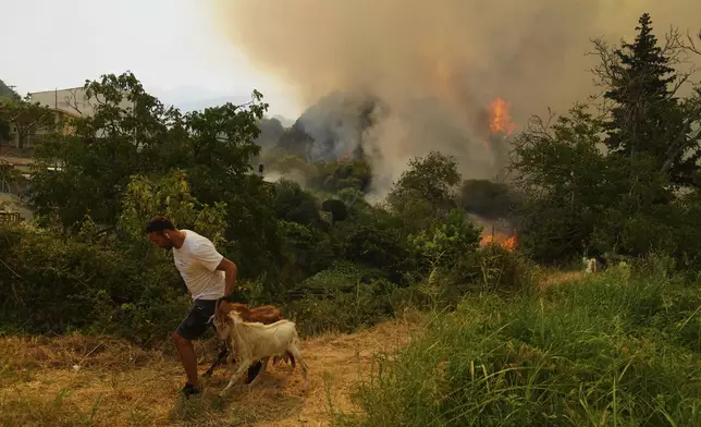 FILE - A man takes away goats during a wildfire in Vounteni, on the outskirts of Patras, western Greece, Aug. 13, 2025. (AP Photo/Thanassis Stavrakis, File)