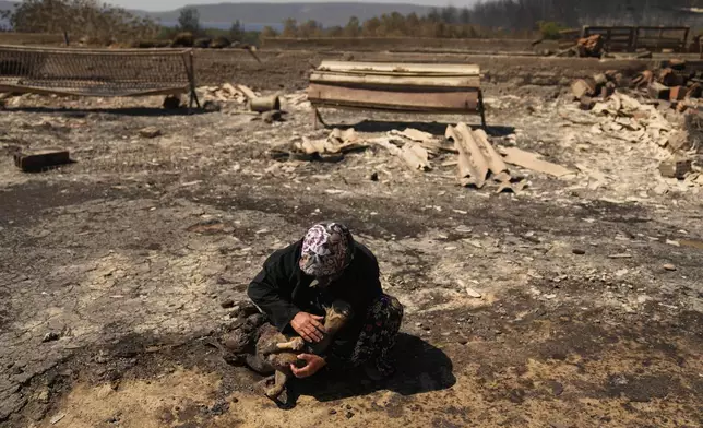 FILE - Local farmer Turkan Ozkan, 64, cries next to one of her animals killed during a wildfire in Guzelyeli, on the outskirts of Canakkale, northwest Turkey, Aug. 12, 2025. (AP Photo/Khalil Hamra, File)