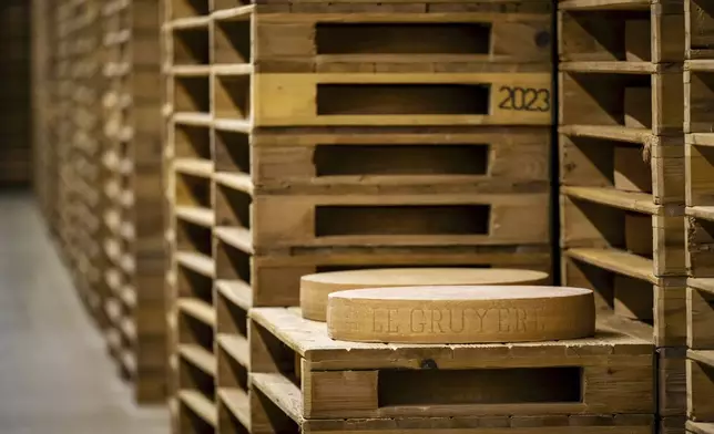 FILE - A view of Gruy're AOP cheese wheels in the Gruy're AOP maturing cellars of Fromco, part of the Emmi Group, on Tuesday, May 6, 2025 in Moudon in the canton of Vaud. (Jean-Christophe Bott/Keystone via AP)
