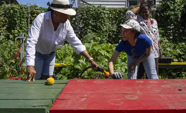 Fany White, right, and Hazel White, family of Alicia White, who is the president and founder of the Project Petals, work at Paradise Community Garden, Friday, Aug. 8, 2025, in Inwood, N.Y. (AP Photo/Yuki Iwamura)