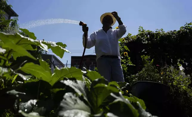 Hazel White, mother of Alicia White, who is the president and founder of the Project Petals, waters plants at Paradise Community Garden, Friday, Aug. 8, 2025, in Inwood, N.Y. (AP Photo/Yuki Iwamura)