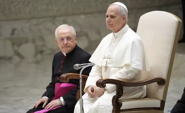 Pope Leo XIV holds his weekly general audience, at The Vatican, Wednesday, Aug.20, 2025. (AP Photo/Gregorio Borgia)
