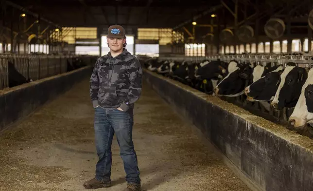 Devon Wells, a junior at Perry Central High School, poses for a portrait in a cowshed at Halo Farms, where he works, on March 12, 2025, in Perry, N.Y. (AP Photo/Lauren Petracca)