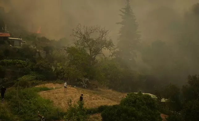 A dog runs as people fight against a wildfire in Vounteni village, on the outskirts of Patras, western Greece, Wednesday, Aug. 13, 2025. (AP Photo/Thanassis Stavrakis)