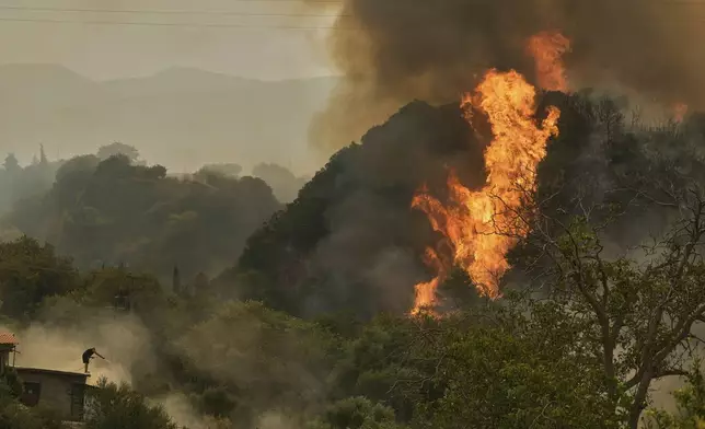 A man fights against the fire as approaching a house during a wildfire in Vounteni, on the outskirts of Patras, western Greece, Wednesday, Aug. 13, 2025. (AP Photo/Thanassis Stavrakis)